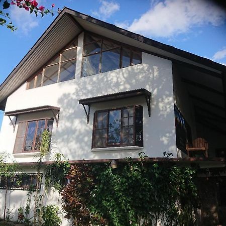 La Jungla Experience Lodgings - Vacation Home And Apartment Boquete Eksteriør bilde