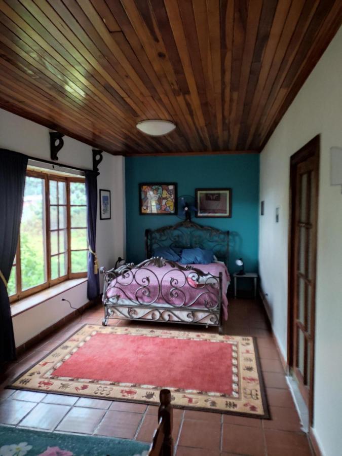 La Jungla Experience Lodgings - Vacation Home And Apartment Boquete Eksteriør bilde