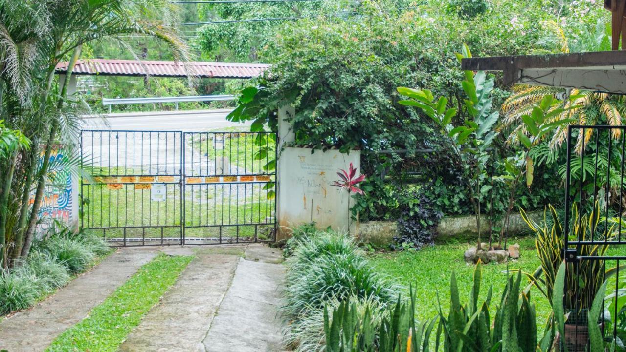 La Jungla Experience Lodgings - Vacation Home And Apartment Boquete Eksteriør bilde