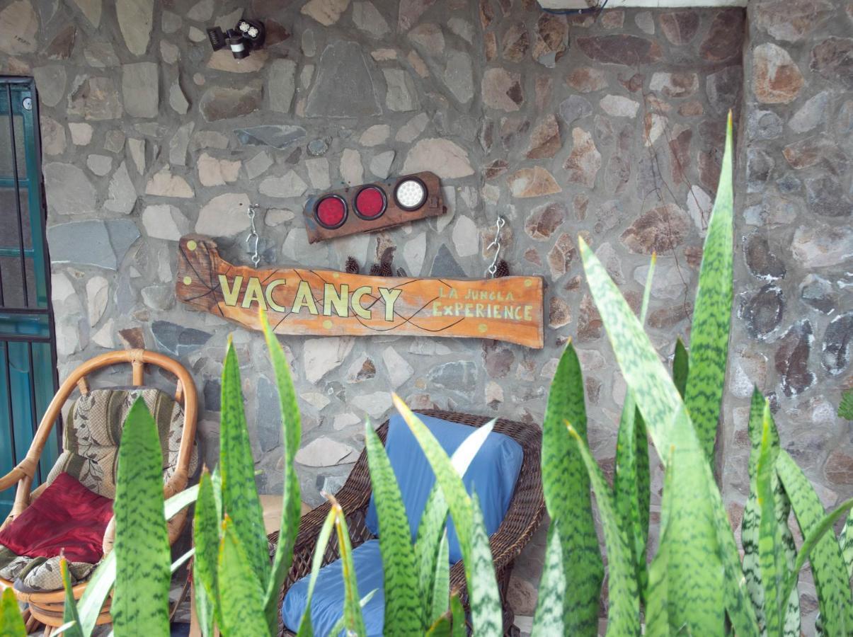 La Jungla Experience Lodgings - Vacation Home And Apartment Boquete Eksteriør bilde